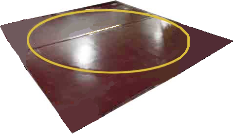 wrestling mat